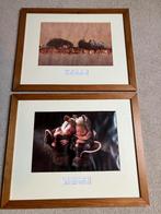 Anne geddes foto lijst 2x, Ophalen, Gebruikt, Foto of Poster, Minder dan 50 cm