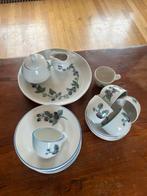 Harlinger Servies met Bramenmotief, Huis en Inrichting, Gebruikt, Ophalen of Verzenden, Overige stijlen, Kop(pen) en/of Schotel(s)