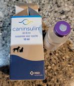 Caninsulin - insuline voor diabetische kat of hond, Ophalen, Kat