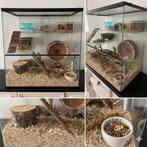 Hamsterhok, Dieren en Toebehoren, Minder dan 75 cm, Zo goed als nieuw, Ophalen, Minder dan 60 cm