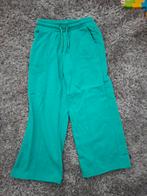 Groene broek van Blue Ridge, maat 116, Kinderen en Baby's, Kinderkleding | Maat 116, Broek, Zo goed als nieuw, Blue Ridge, Verzenden