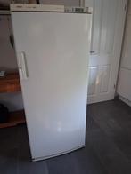 Bosch diepvries kast, Witgoed en Apparatuur, Vriezers en Diepvrieskisten, Ophalen, Gebruikt, Vrijstaand, 60 tot 90 cm