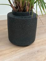 Mooie Bolia plantenpot met plant, Overige materialen, Rond, Binnen, Zo goed als nieuw