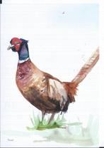 Nederlandse Weidevogels. Fazant- Kievit en een Gruto , Verzenden, 1980 tot heden, Ongelopen, Vogel