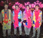 muizen, Maat 38/40 (M), Carnaval, Ophalen of Verzenden, Accessoires