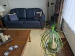 Bankstel + Fauteuil van blauw buffelleer, Huis en Inrichting, Ophalen, Gebruikt, 150 tot 200 cm, Driepersoons