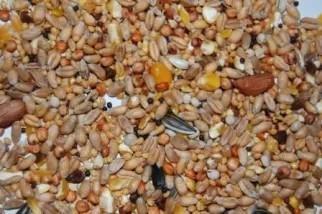 Strooivoer 20kg, Dieren en Toebehoren, Vogels | Toebehoren, Nieuw, Eten en Drinken, Ophalen of Verzenden