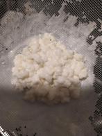 Kefir korrels voor melkkefir, Diversen, Levensmiddelen, Ophalen