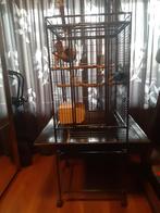 (Dwerg) papegaai kooi zwart, Ophalen, Zo goed als nieuw, Metaal, Vogelkooi