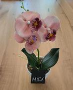 Nieuw! Mica decorations, orchidee, Phalaenopsis, kunst, zalm, Ophalen of Verzenden, Nieuw