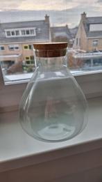 Glazen fles met kurk terrarium, Ophalen of Verzenden, Zo goed als nieuw