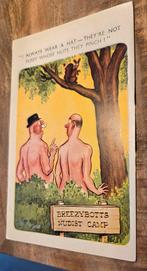 Eekhoorn zoekt nootjes op de nudisten camping, Verzenden, 1960 tot 1980, Ongelopen, Overige thema's