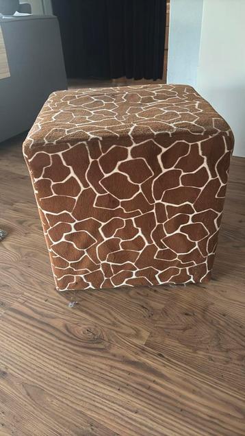 Poefje beschikbaar voor biedingen