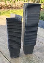 Kweekbakjes Kweekpotjes 70 stuks zwart plastic, Ophalen, Gehele jaar, Volle zon, Zaad