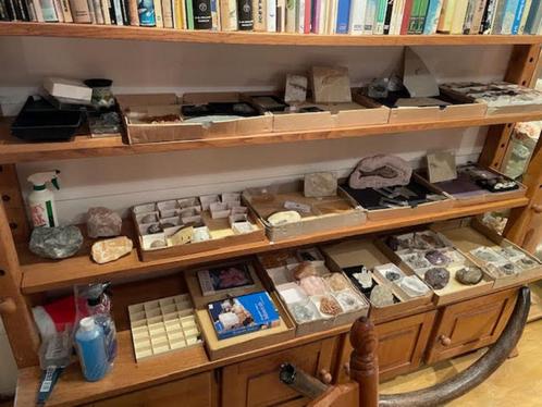 5 FOSSIELE VISSEN V.A. 25 EURO, Verzamelen, Mineralen en Fossielen, Fossiel, Ophalen of Verzenden