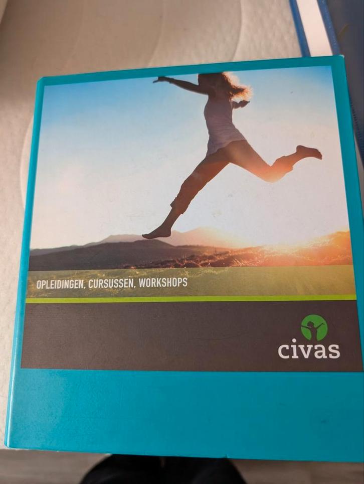 Cursus boek regressie en hypnotherapie, Boeken, Studieboeken en Cursussen, Gelezen, HBO, Beta, Ophalen of Verzenden