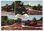 Elspeet - Klederdracht kar met paarden boer boerin heide, Verzamelen, Ansichtkaarten | Themakaarten, Gelopen, 1960 tot 1980, Ophalen of Verzenden