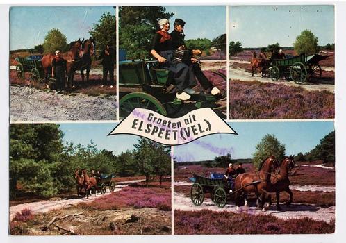Elspeet - Klederdracht kar met paarden boer boerin heide, Verzamelen, Ansichtkaarten | Themakaarten, Gelopen, 1960 tot 1980, Voertuig