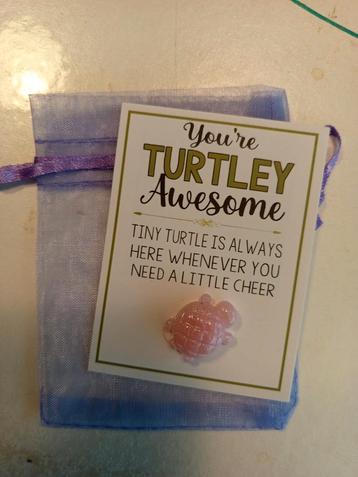 Pocket hug schildpad beschikbaar voor biedingen