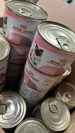 Royal Canin Mother & Babycat kattenvoer, Dieren en Toebehoren, Ophalen of Verzenden, Nieuw