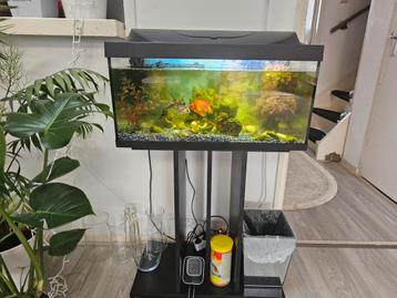 Te  koop  mooi  aquaria  compleet  met 2 guode  vissen  beschikbaar voor biedingen
