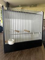 TT kooien voor vogels, Ophalen, Zo goed als nieuw, Hout, Vogelkooi