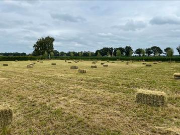 Hooi pakken beschikbaar voor biedingen