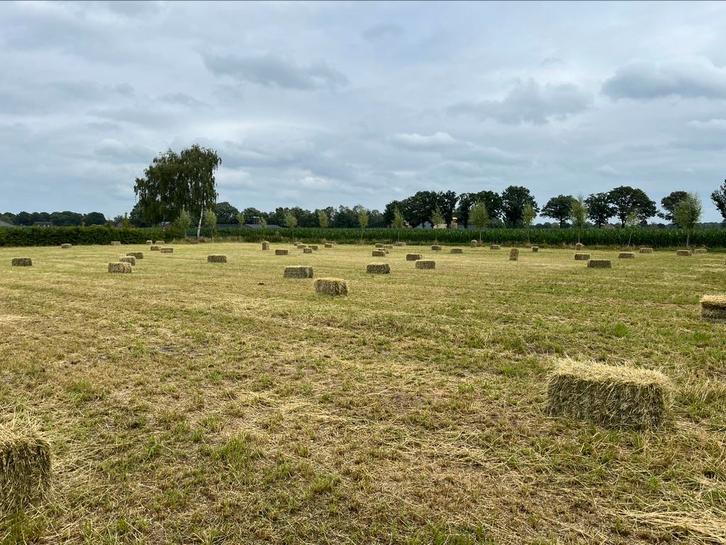 Hooi pakken, Zakelijke goederen, Agrarisch | Veevoer, Ophalen of Verzenden