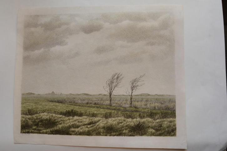 EDGAR FERNHOUT HERFST Mooie Litho 1947 Schildersprent SP12, Antiek en Kunst, Kunst | Litho's en Zeefdrukken, Verzenden