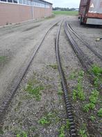 vijzels voerinstallatie, Meerdere dieren, Varken, 6 jaar of ouder