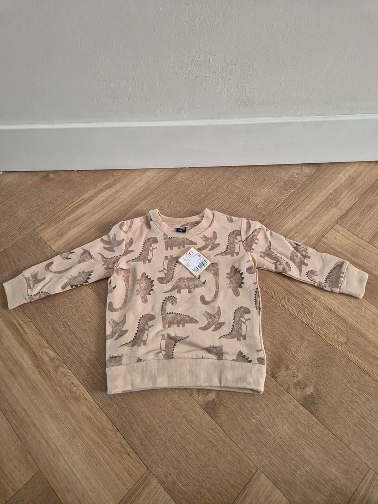 Splinternieuw: Baby Dino shirt, Ophalen of Verzenden, Nieuw, Jongetje of Meisje, Truitje of Vestje