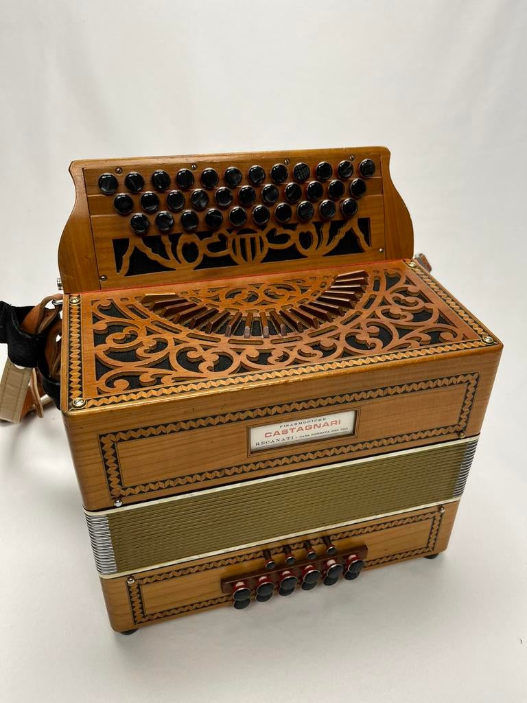 Castagnari Handry CF met 12 bassen, Muziek en Instrumenten, Accordeons, Gebruikt, Overige merken, Ophalen of Verzenden