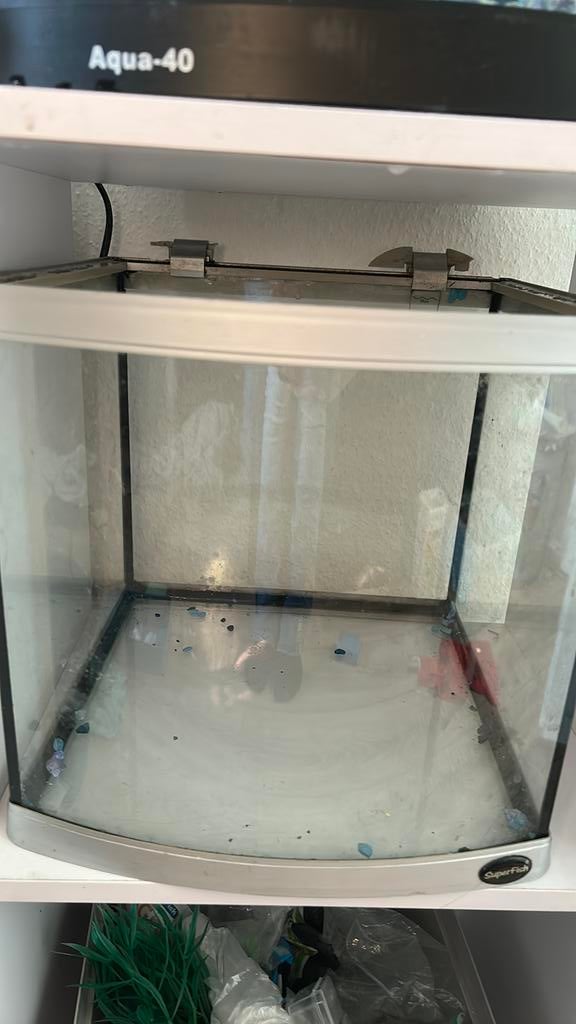 aquarium met 2 vissen, Dieren en Toebehoren, Vissen | Aquaria en Toebehoren, Ophalen, Zo goed als nieuw, Gevuld zoetwateraquarium