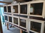 Konijnen hok / flat, Dieren en Toebehoren, Knaagdieren en Konijnen | Hokken en Kooien, Ophalen, 110 cm of meer, 90 cm of meer
