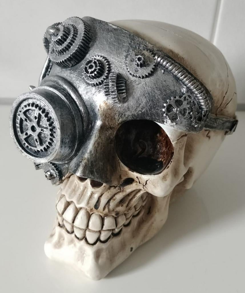 STEAMPUNK SKULL, Ophalen of Verzenden, Nieuw