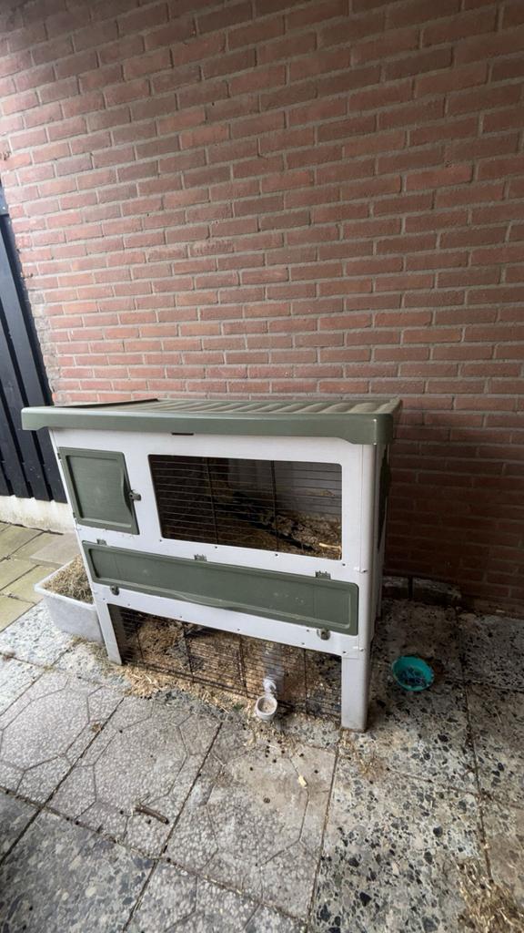 Konijnenhok + benodigdheden, Ophalen, 110 cm of meer, Zo goed als nieuw, 90 cm of meer