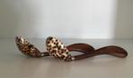 Tijger lepeltjes- schelp en houten steel., Ophalen of Verzenden, Nieuw, Hout