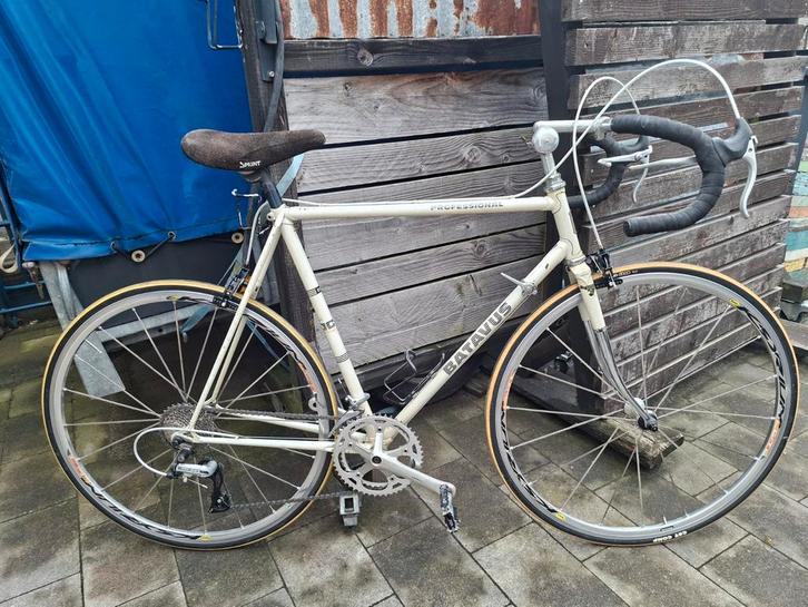 Batavus Professional Neo Retro, Fietsen en Brommers, Fietsen | Racefietsen, Gebruikt, Batavus, Minder dan 10 versnellingen, Staal
