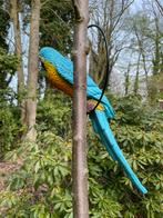 Papegaai op tak in ring jungle turquoise geel vogel dier, Ophalen of Verzenden, Nieuw