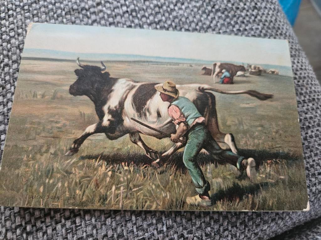 Koe stier oude kaart, Ophalen of Verzenden