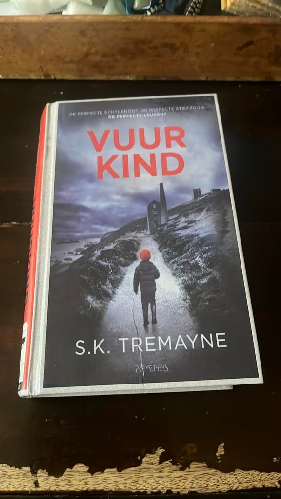 Vuurkind - S.K. Tremayne (Thriller), Boeken, Ophalen of Verzenden, Gelezen, Nederland