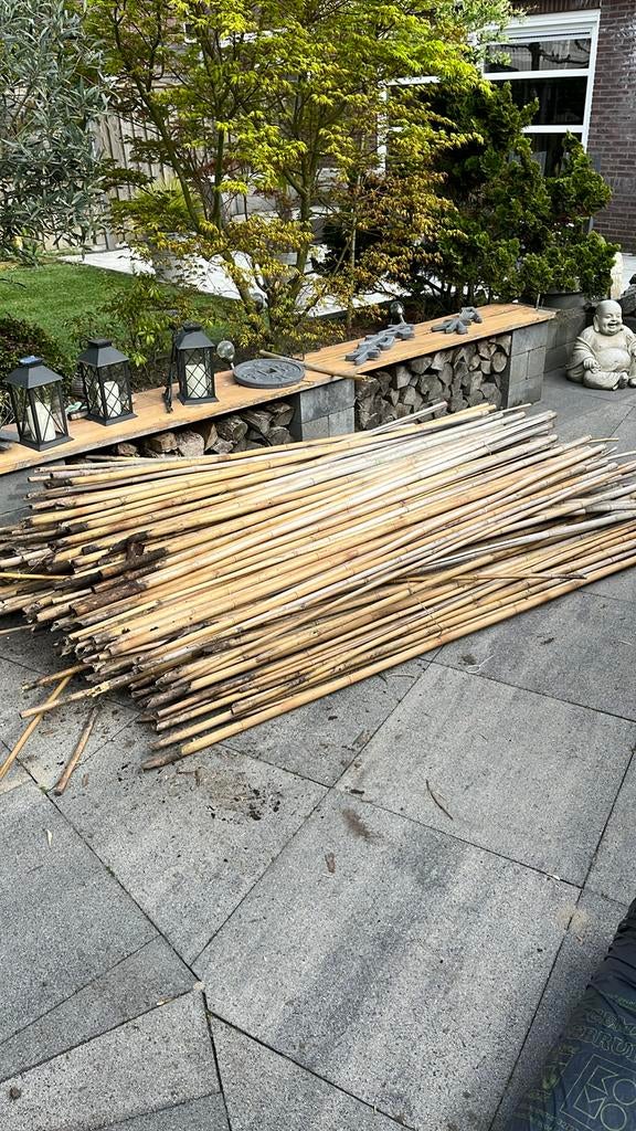 Grote partij bamboestokken voor tuin of decoratie, Ophalen, Gebruikt