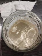 Zuurdesem starter, Diversen, Levensmiddelen, Ophalen