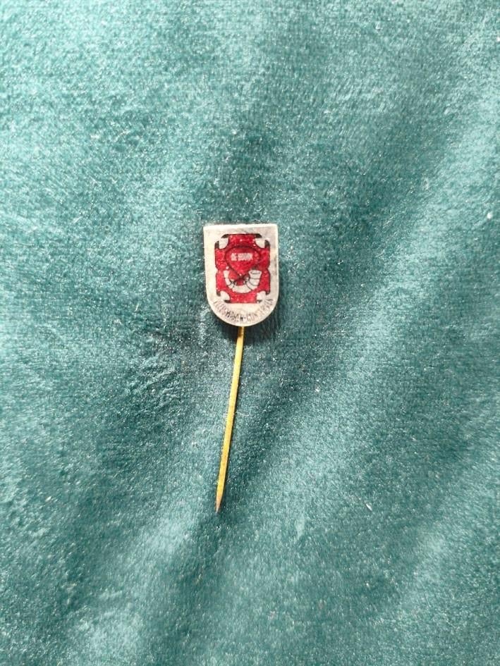 De Hoorn steekspeld, Ophalen of Verzenden, Gebruikt, Overige onderwerpen, Speldje of Pin