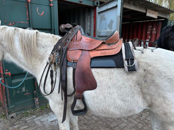 Complete westernset, boomloos en bitloos hoofdstel, Dieren en Toebehoren, Paarden en Pony's | Zadels, Gebruikt, Western, Ophalen