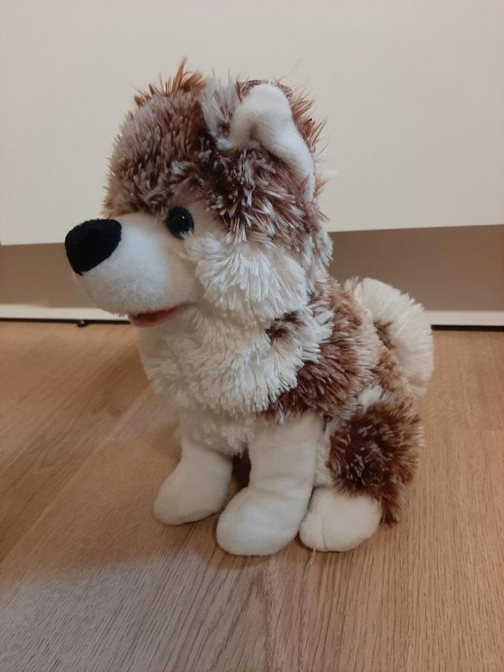 Husky hond knuffel 34 cm, Kinderen en Baby's, Speelgoed | Knuffels en Pluche, Hond, Ophalen of Verzenden