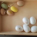 Kunststof eieren, Hobby en Vrije tijd, Ophalen of Verzenden, Nieuw, Overige typen