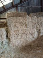 Te koop: hooi, Ophalen, Vee