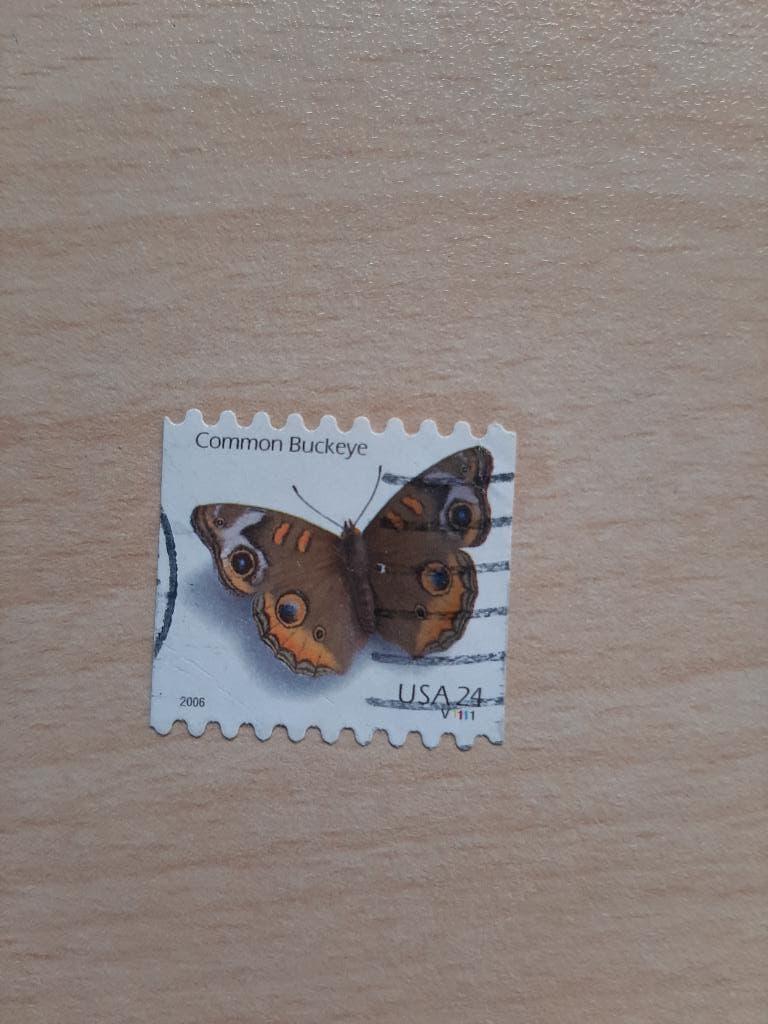 Amerika vlinder, Verzenden, Gestempeld, Noord-Amerika