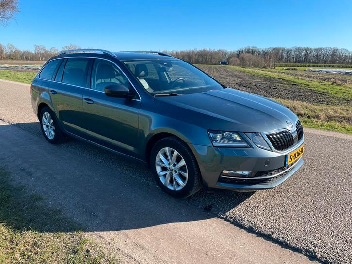 Skoda Octavia 1.6 TDI Greentech 115pk Dsg-7 2019 Grijs, Auto's, Skoda, Particulier, Octavia, Diesel, Stationwagon, Automaat, Geïmporteerd